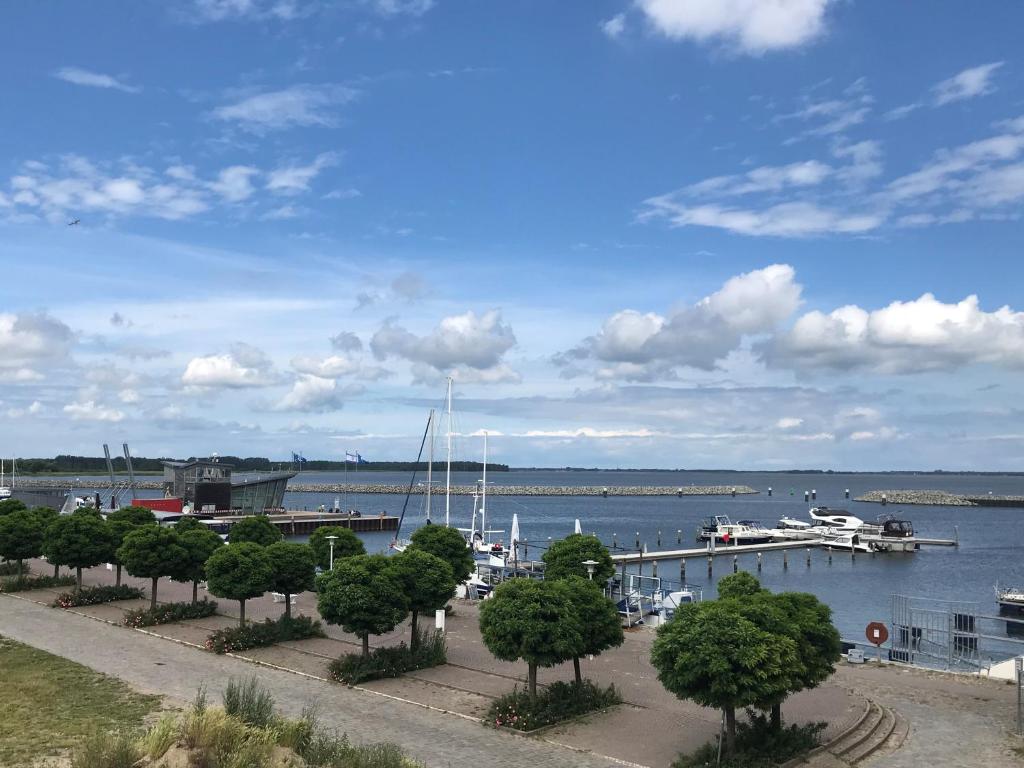 uma vista para uma marina com barcos na água em Speicher Residenz Barth E1 App 5 em Barth