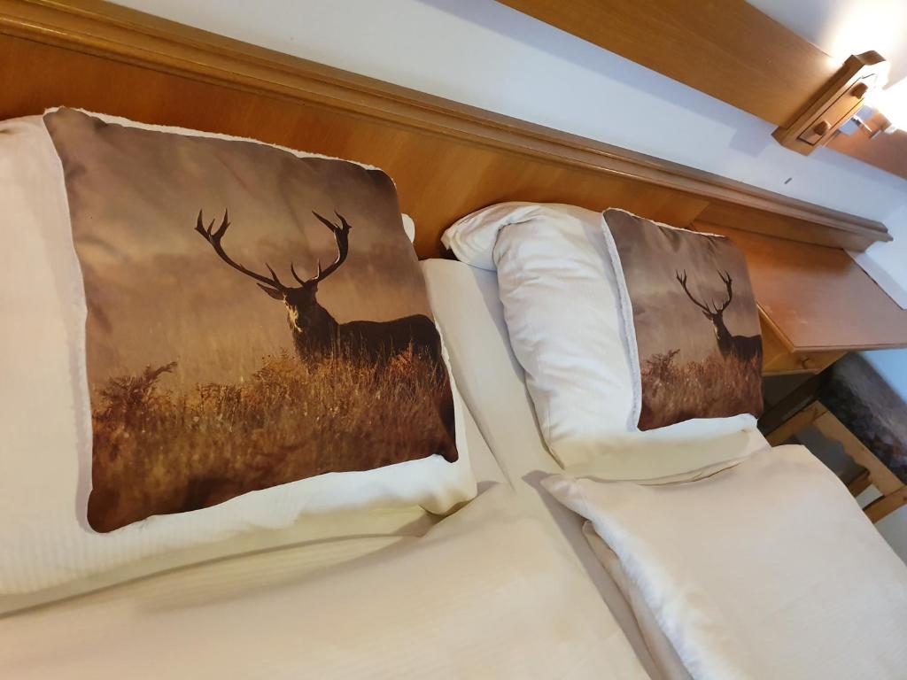 Pension Robin Hood - 2