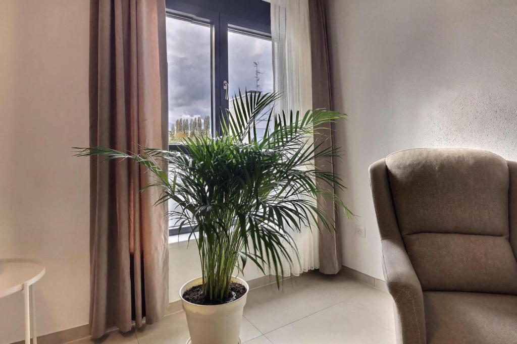 KRésidence - Appartements Saint-Louis – photo 45