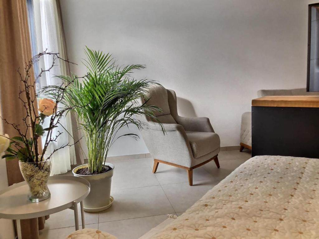 KRésidence - Appartements Saint-Louis – photo 47