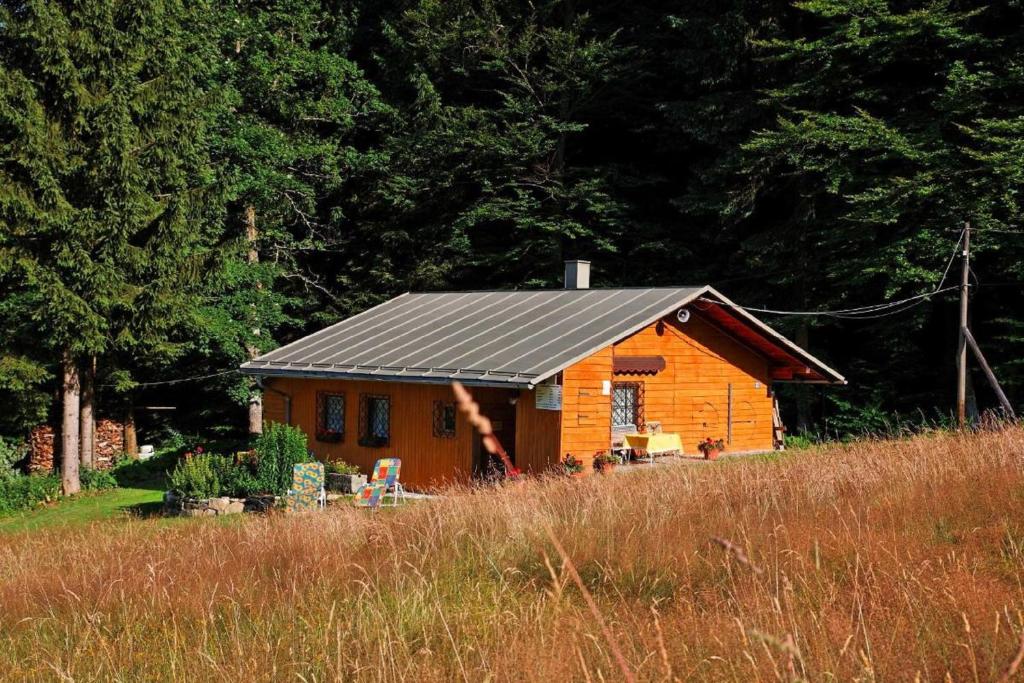 a wooden cabin with a black roof in a field at Haus an der Bergwiese in Waldkirchen