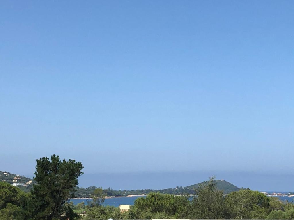 a group of trees with a lake in the background at Residence ACQUA LINDA Porticcio in Porticcio
