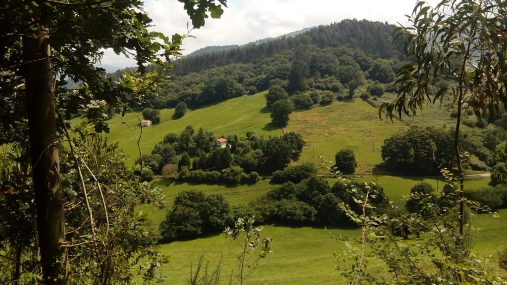 Príroda v okolí dovolenkového domu