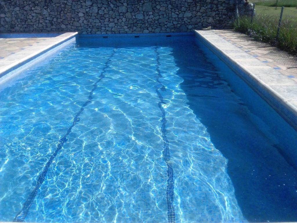 a swimming pool with blue water in a backyard at Finca La Rana Verde in Cortes de la Frontera