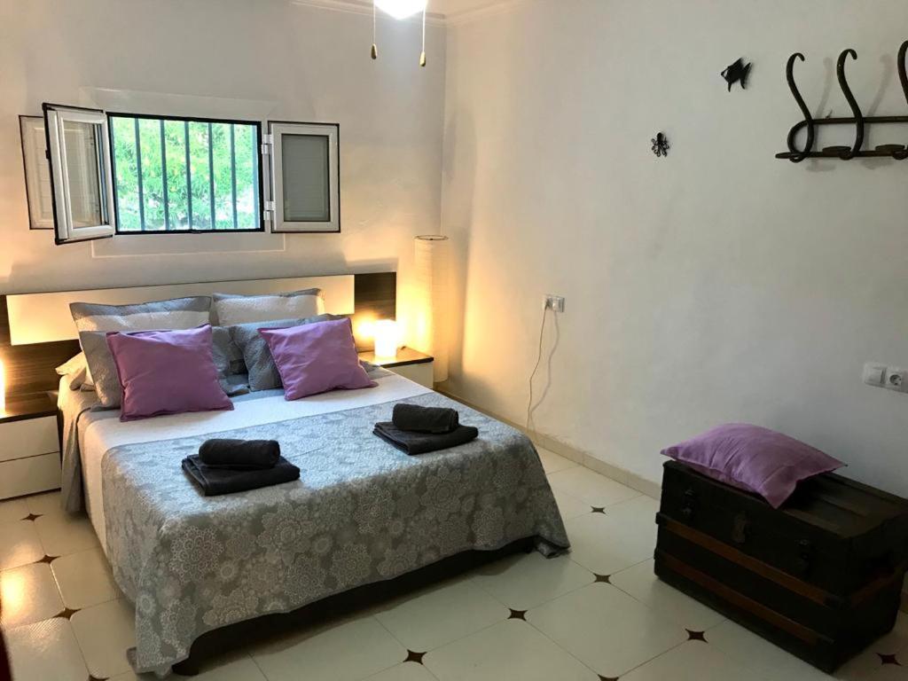 https://cf.bstatic.com/xdata/images/hotel/max1024x768/260444373.jpg?k=4e92467ea299a319402701ba818f234a14ff3e8d3f6fe5e2f43d9faac0646c1d&o=&hp=1
