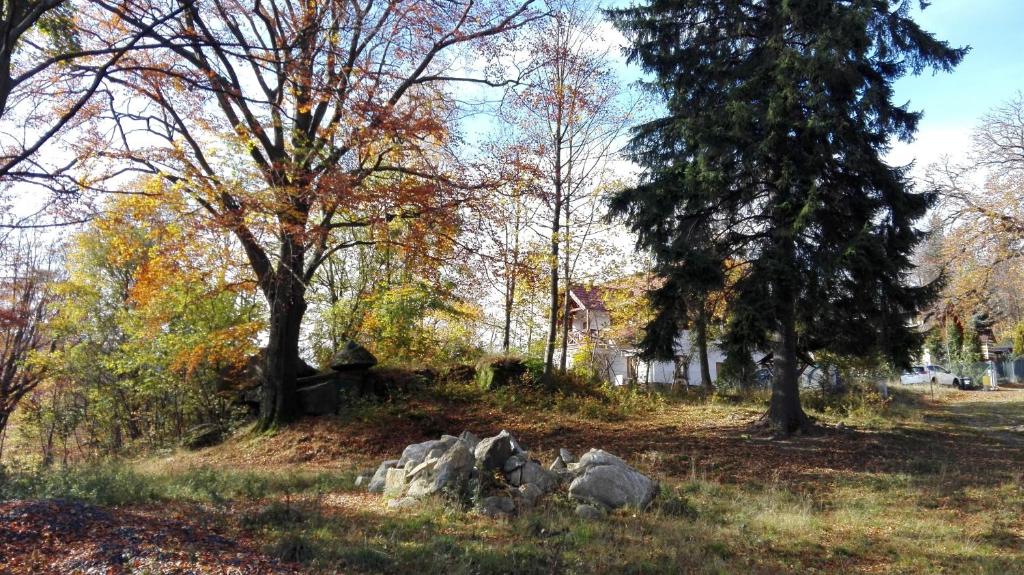 Príroda v okolí apartmánu