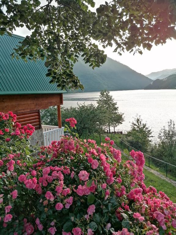Příroda nedaleko bed and breakfast