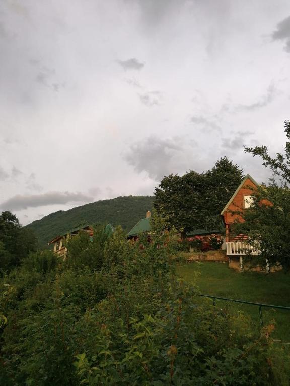Příroda nedaleko bed and breakfast