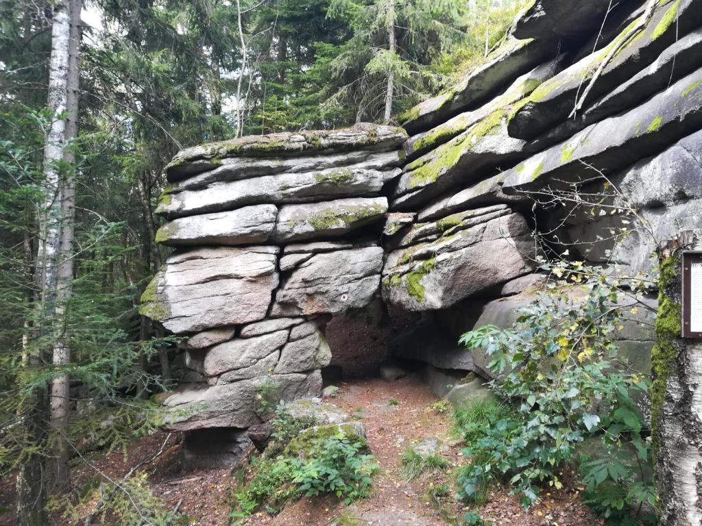 Příroda nedaleko apartmánu