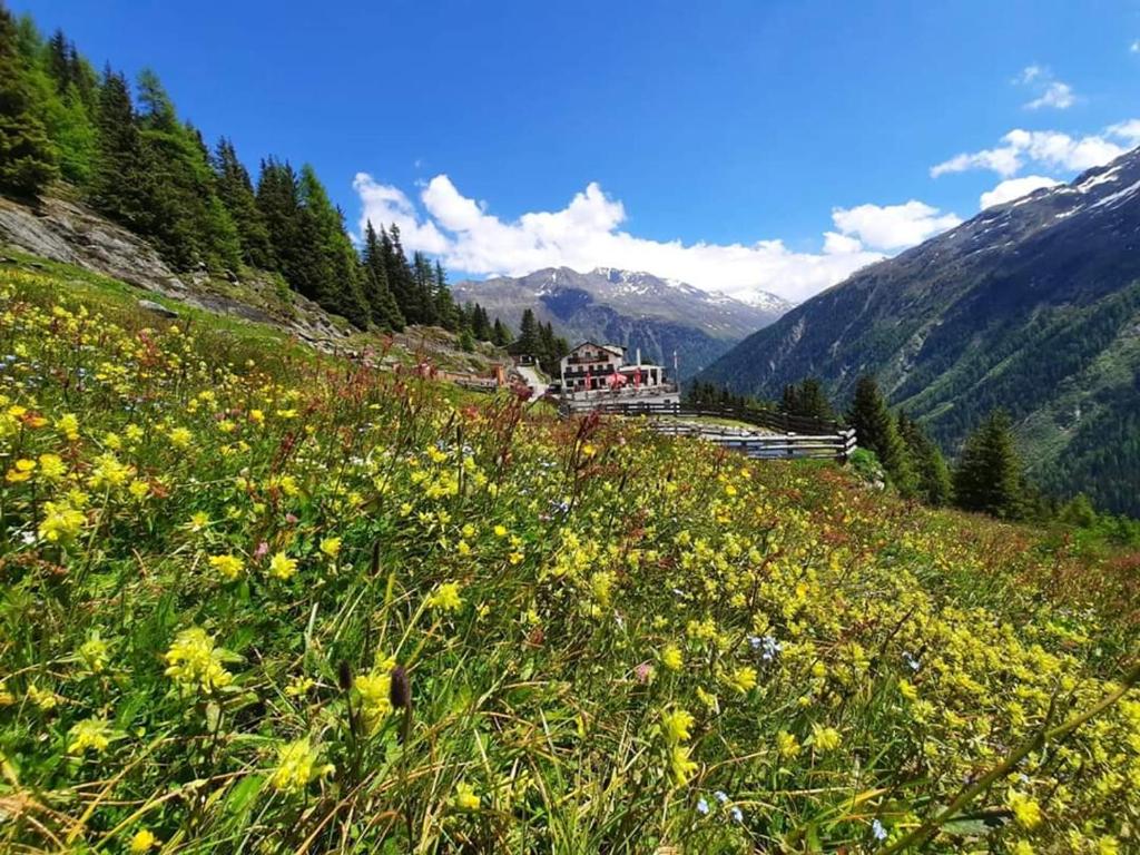 un campo de flores en una colina con montañas en Alpengasthof Gaislach Alm en Sölden