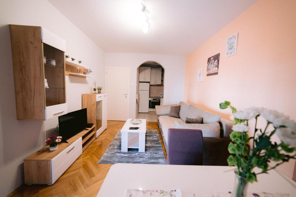 - un salon avec un canapé et une télévision dans l'établissement Apartment LIPA, à Novi Sad