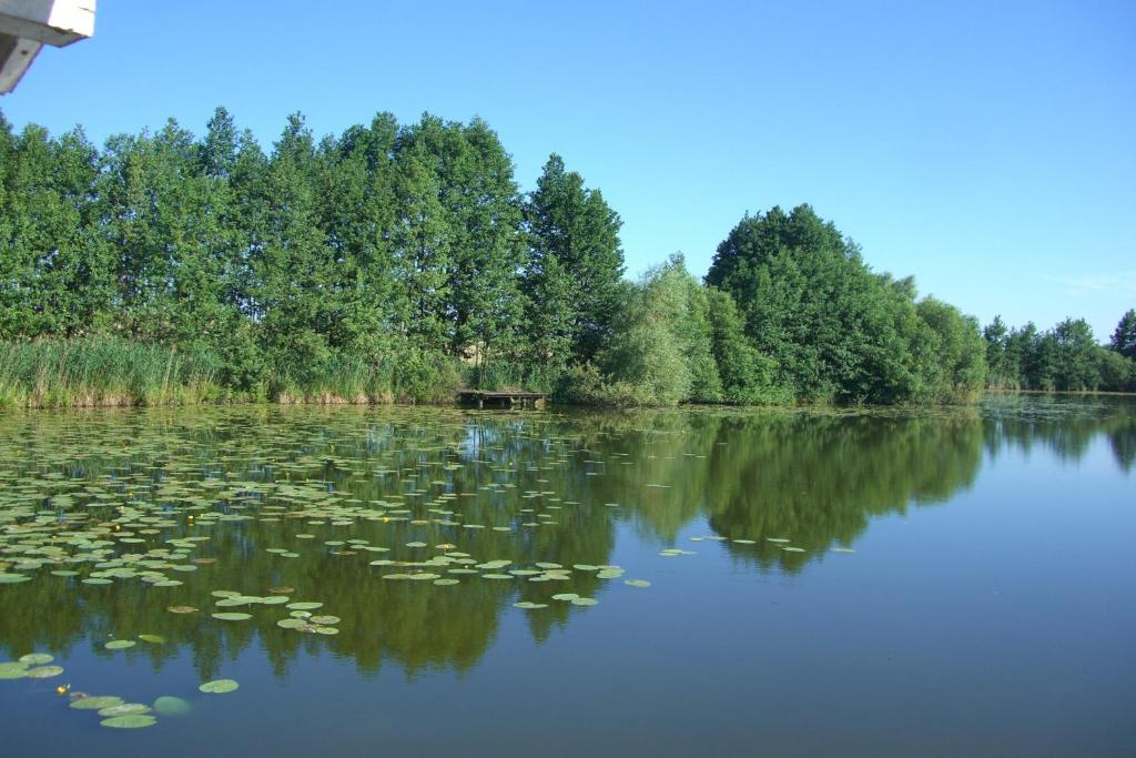 Przyroda w pobliżu tego domu wakacyjnego