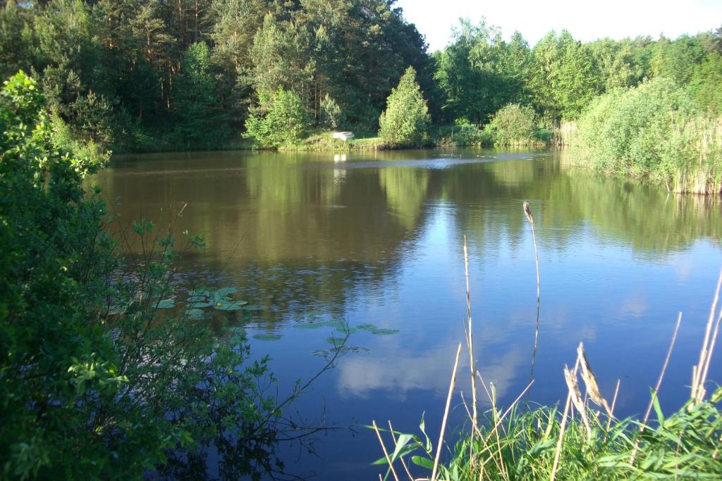Przyroda w pobliżu tego domu wakacyjnego