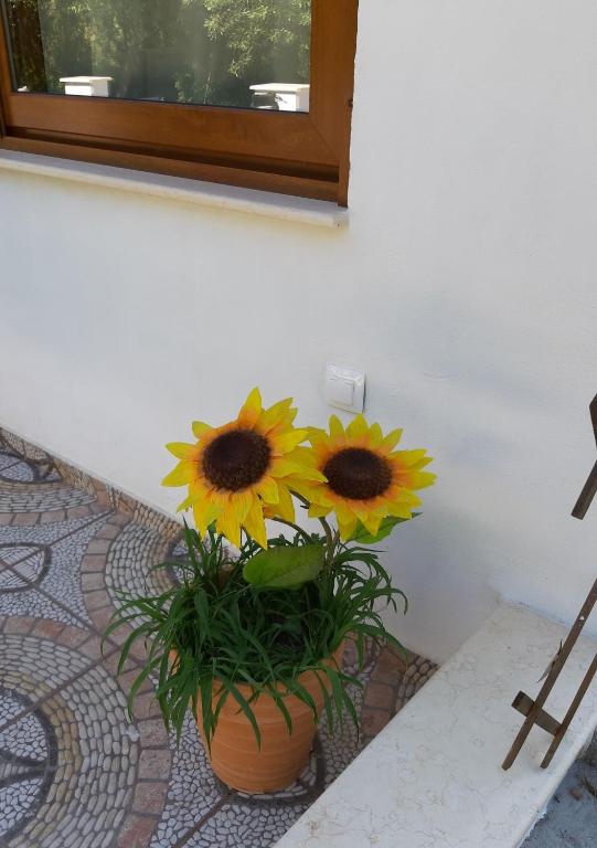 Fotografie z fotogalerie ubytování Anna - Maria Luxury Suite v destinaci Skala Rachoniou