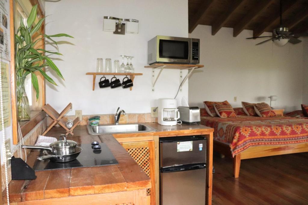 Kuchyň nebo kuchyňský kout v ubytování Hotel Posada Seremein ,West Bay ,Roatan