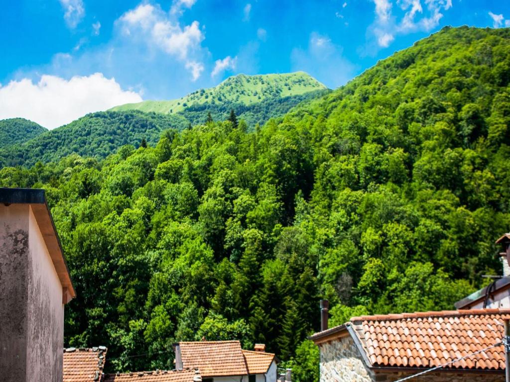 Príroda v okolí dovolenkového domu