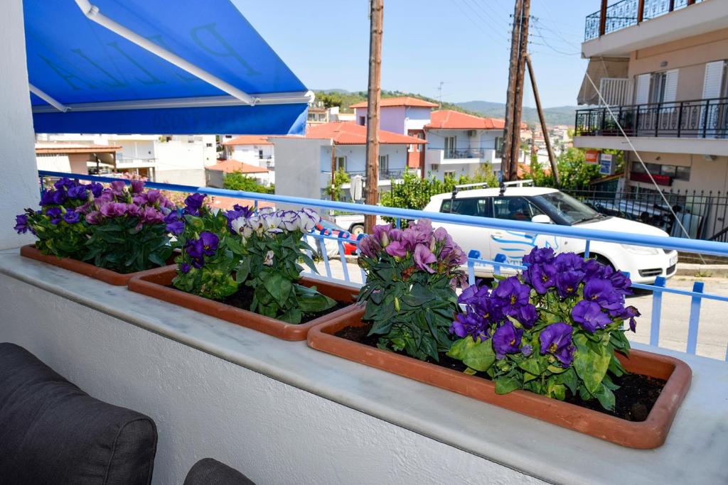 Bazén v ubytování Pella Hotel - new nebo v jeho okolí