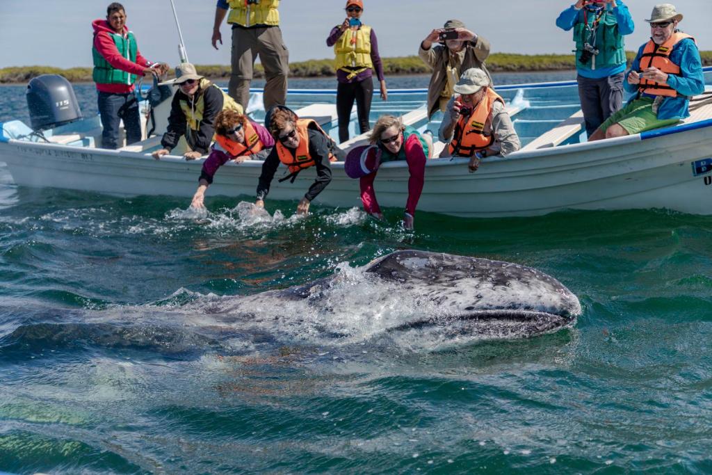 Hotel Posada Luna Sol