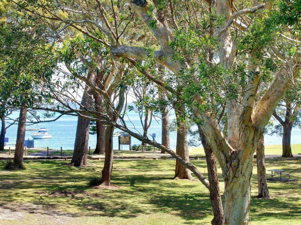 a group of trees in a park near the water at Bay Parklands 32 fantastic unit with air conditioning pool tennis court and spa in Shoal Bay