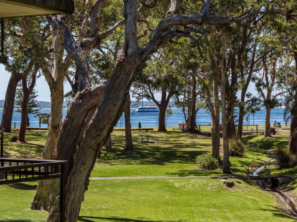 a park with trees and a bench and the water at Bay Parklands 28 pool tennis court and stunning views in Shoal Bay