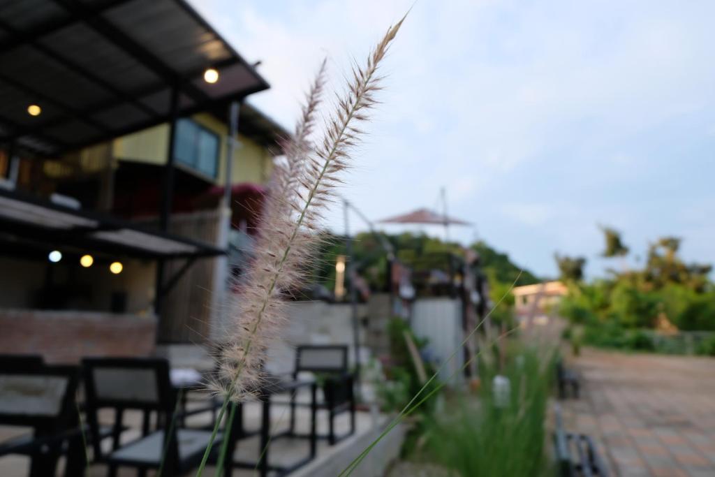 Fotografie z fotogalerie ubytování INBOX Living Rimkhong v destinaci Chiang Khan