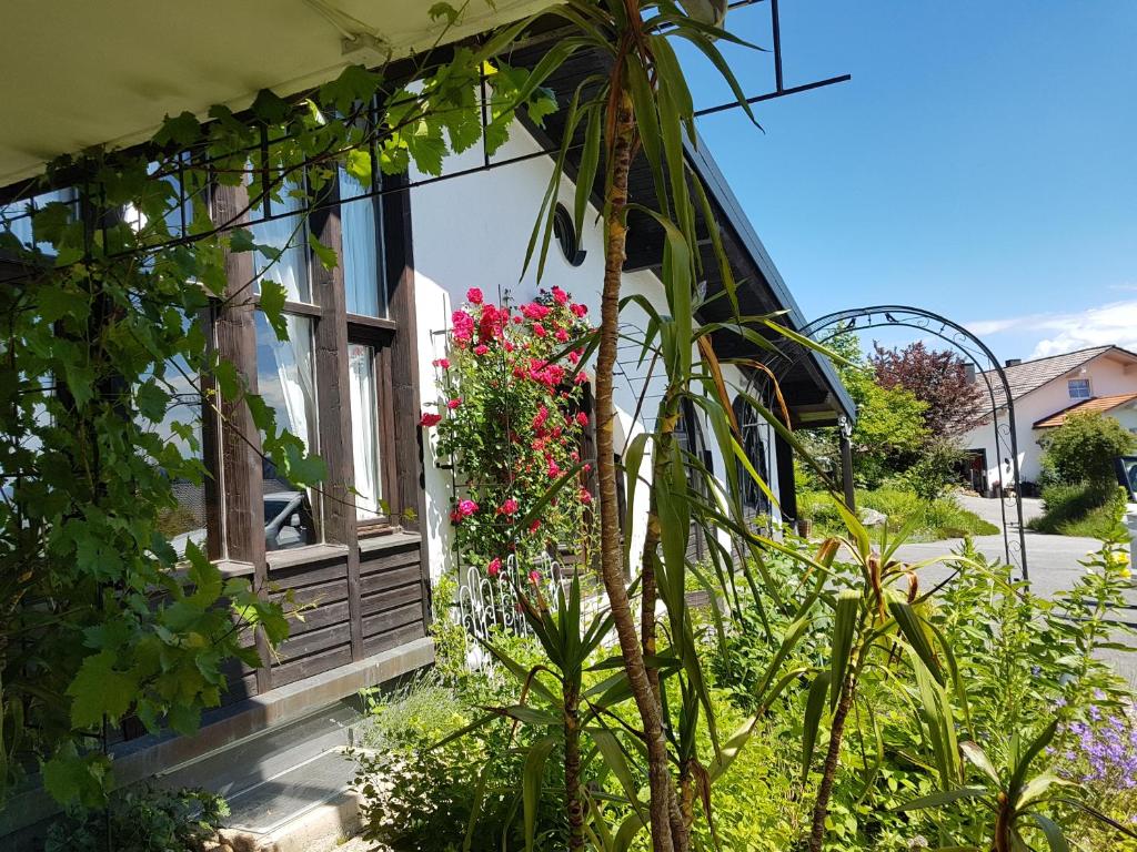 Zahrada ubytování Ferienhaus Mauth