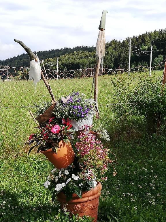 Zahrada ubytování Haus Petra