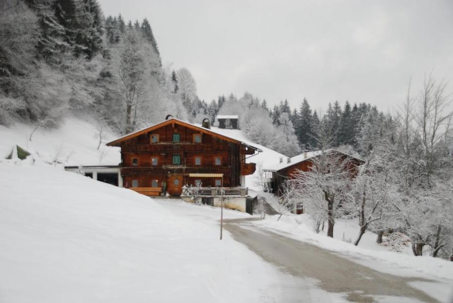 a large wooden cabin in the snow with a road at Haus Dengg in Zellberg