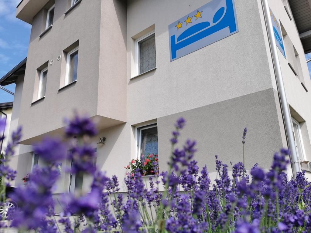 Mondina Guest House - Housity
