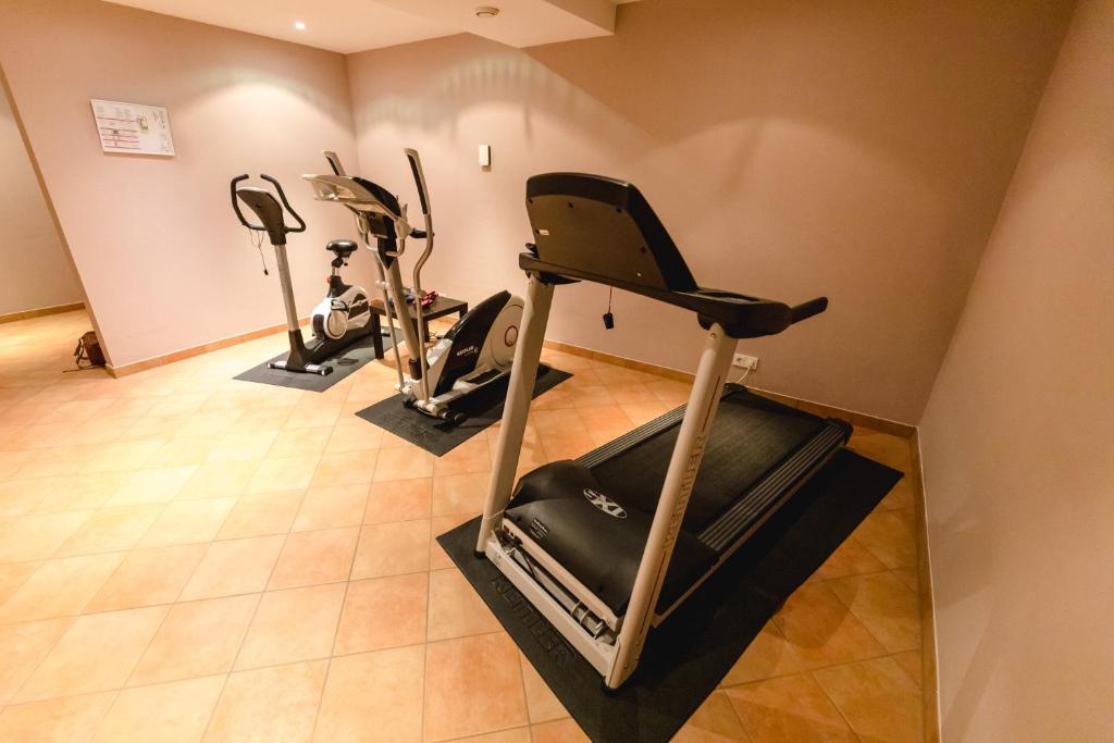 Fitness centrum a/nebo fitness zařízení v ubytování Winzerhotel Gumpoldskirchen