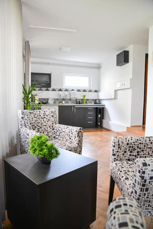 Kuchyň nebo kuchyňský kout v ubytování Apartman Domacinstvo La ViE na selu
