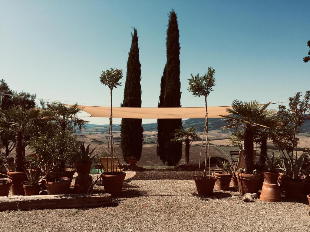 um grupo de árvores e vasos de plantas num quintal em Poggio Magginga em Terricciola