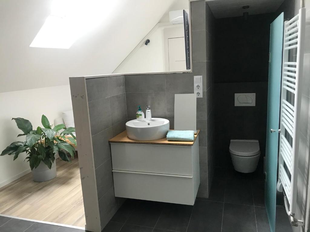 A bathroom at ZiMo Taliándörögdi MoZiHáz