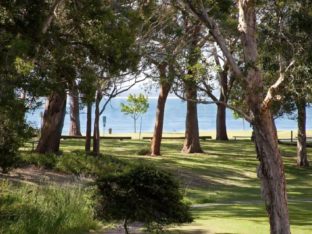 un grupo de árboles en un parque con el océano en el fondo en Bay Parklands 44 WI FI Netflix Air Con and Views, en Nelson Bay