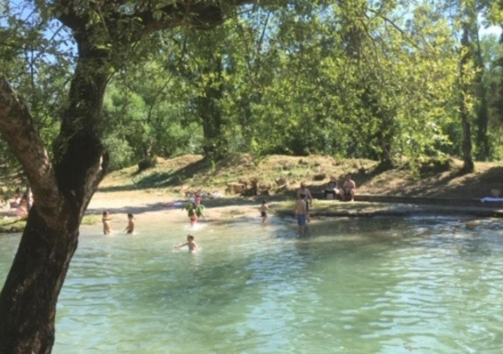 Příroda nedaleko hostelu
