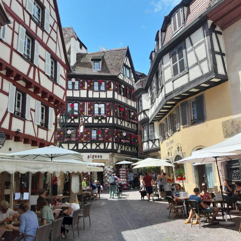Commanderie Cottage Colmar – photo 33