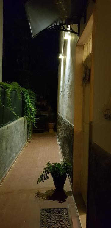 Casa Capri - One-Bedroom Apartment