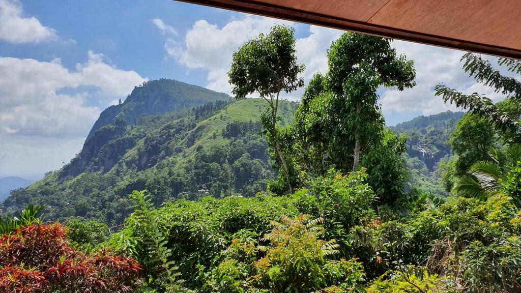 Ella Mount View Guest Inn - 17