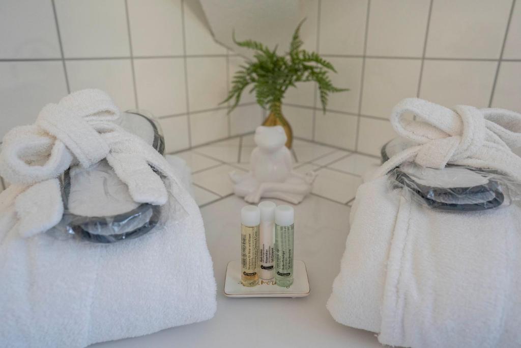 Fotografie z fotogalerie ubytování Hotel Goldener Falke v destinaci Heidelberg