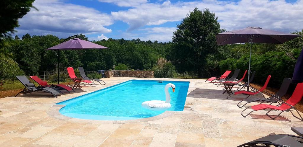 ein Schwan im Pool mit Stühlen und Sonnenschirmen in der Unterkunft Les Granges Indigo in Fossemagne