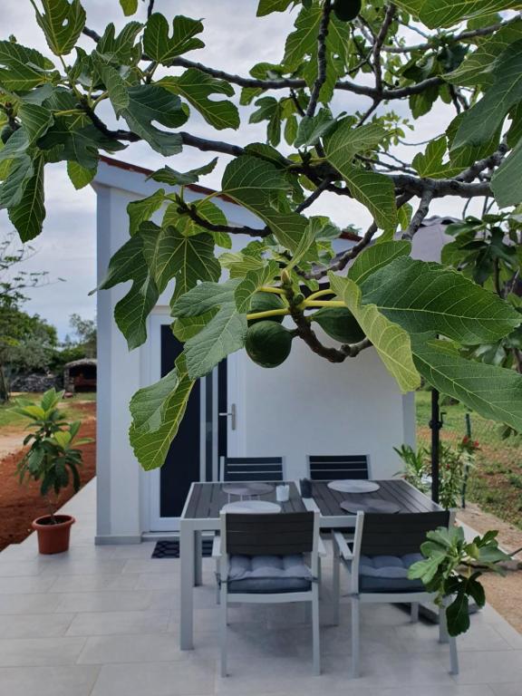 un tavolo e sedie sotto un albero su un patio di Studio Apartment Ceca*** a Fažana