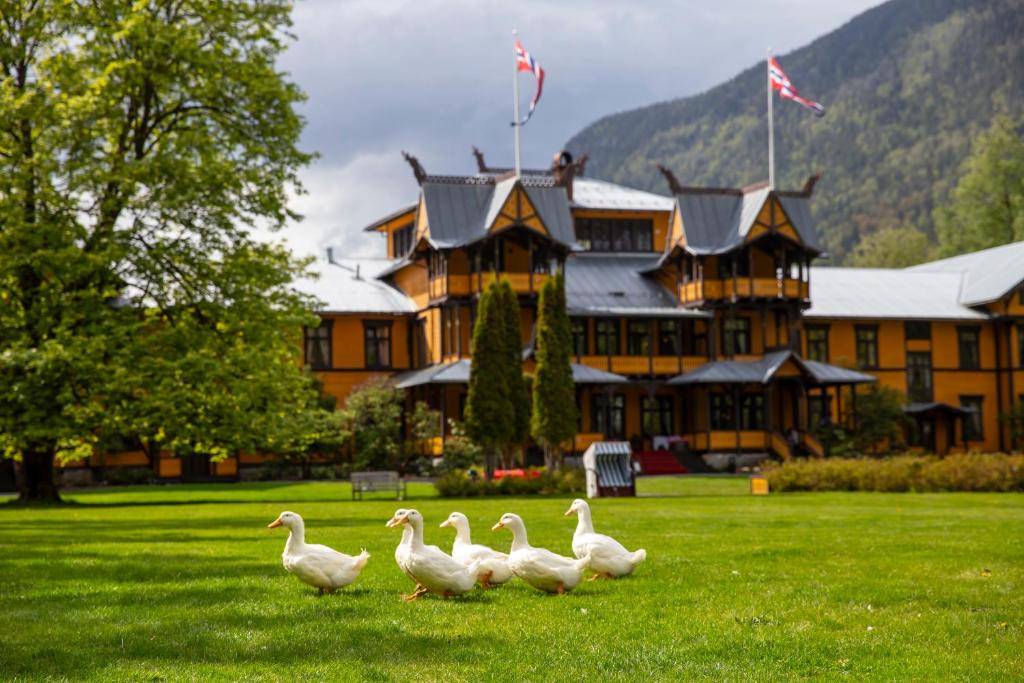 a group of ducks walking in the grass in front of a building at Dalen Hotel in Dalen