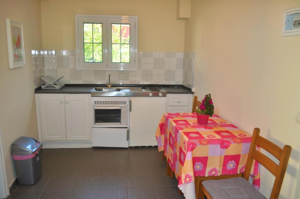 A kitchen or kitchenette at Yannis - Holiday Apartments on Agios Gordios Beach in Corfu