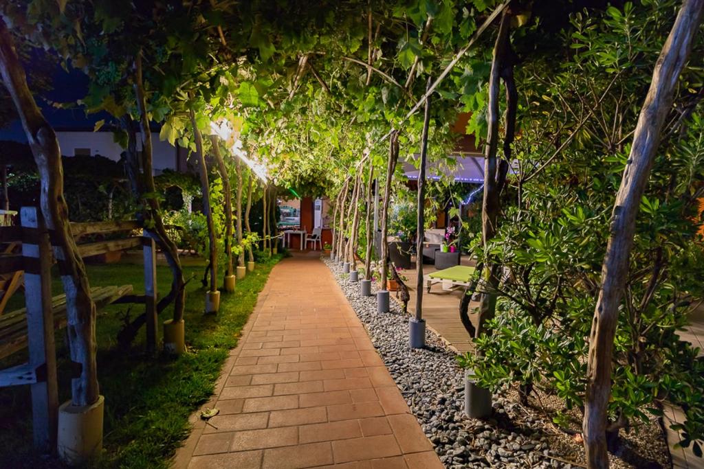 Zahrada ubytování Hotel Ariadimari