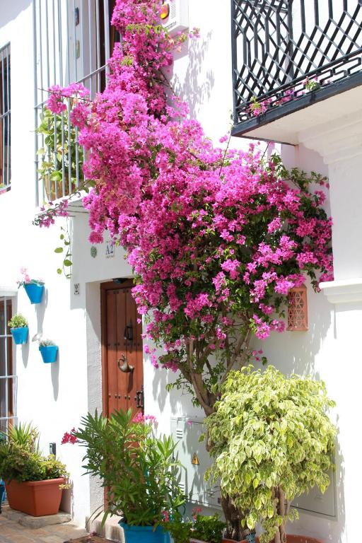 Zahrada ubytování Mijas Pueblo Cosy Townhouse, sleeps 4