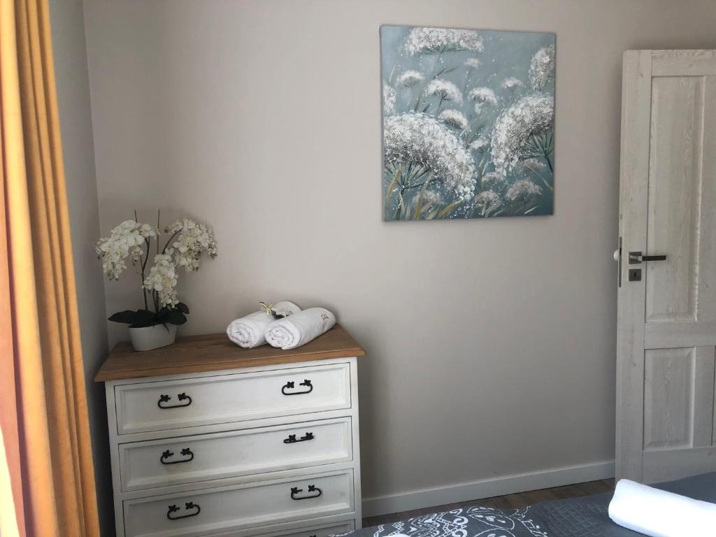 Fotografia z galérie ubytovania Apartament Homole F1 v destinácii Szlachtowa