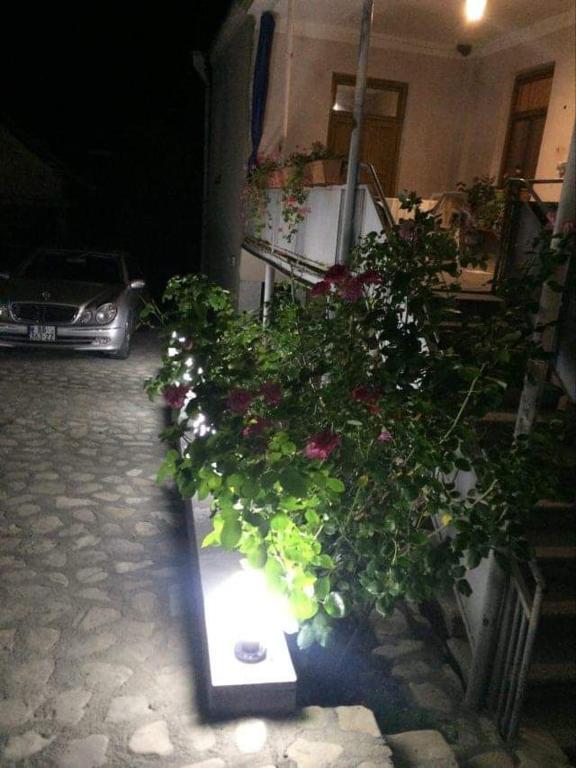 Zahrada ubytování Guesthouse Raisa