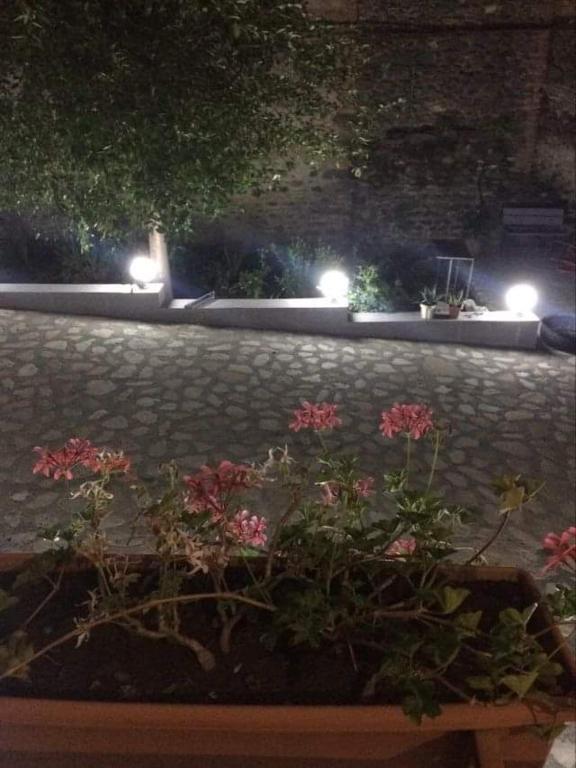 Zahrada ubytování Guesthouse Raisa