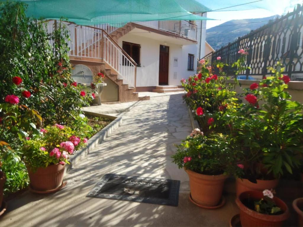 a balcony with potted plants and flowers on a building at Cheap house near the center of the city in Mostar