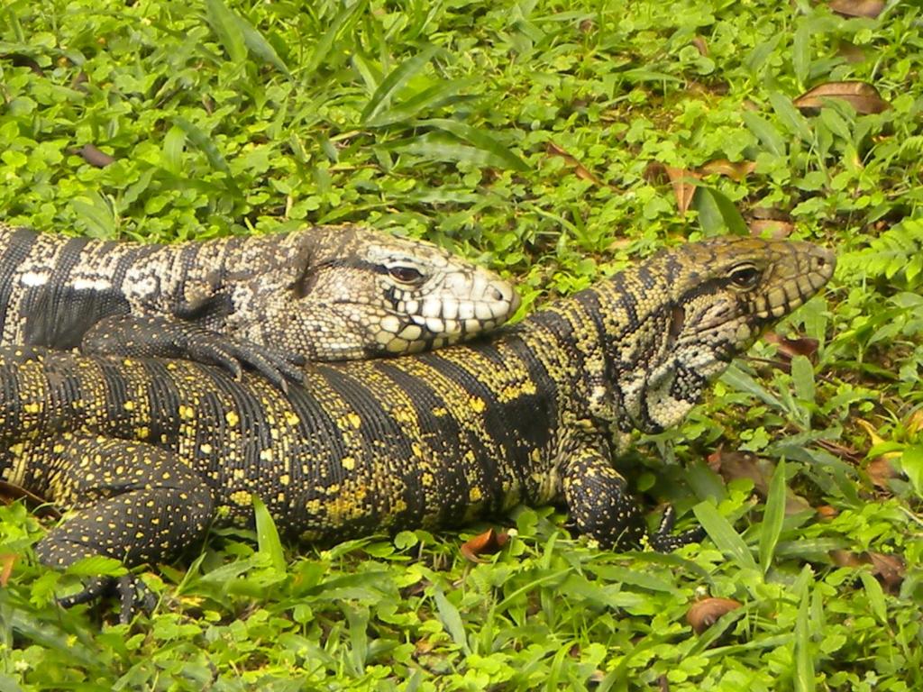  Pousada do Quiririm
